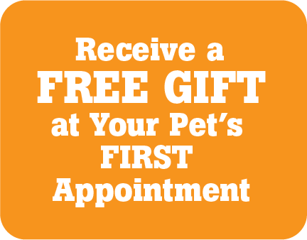 Receive a FREE GIFT at Your Pet's First Appointment