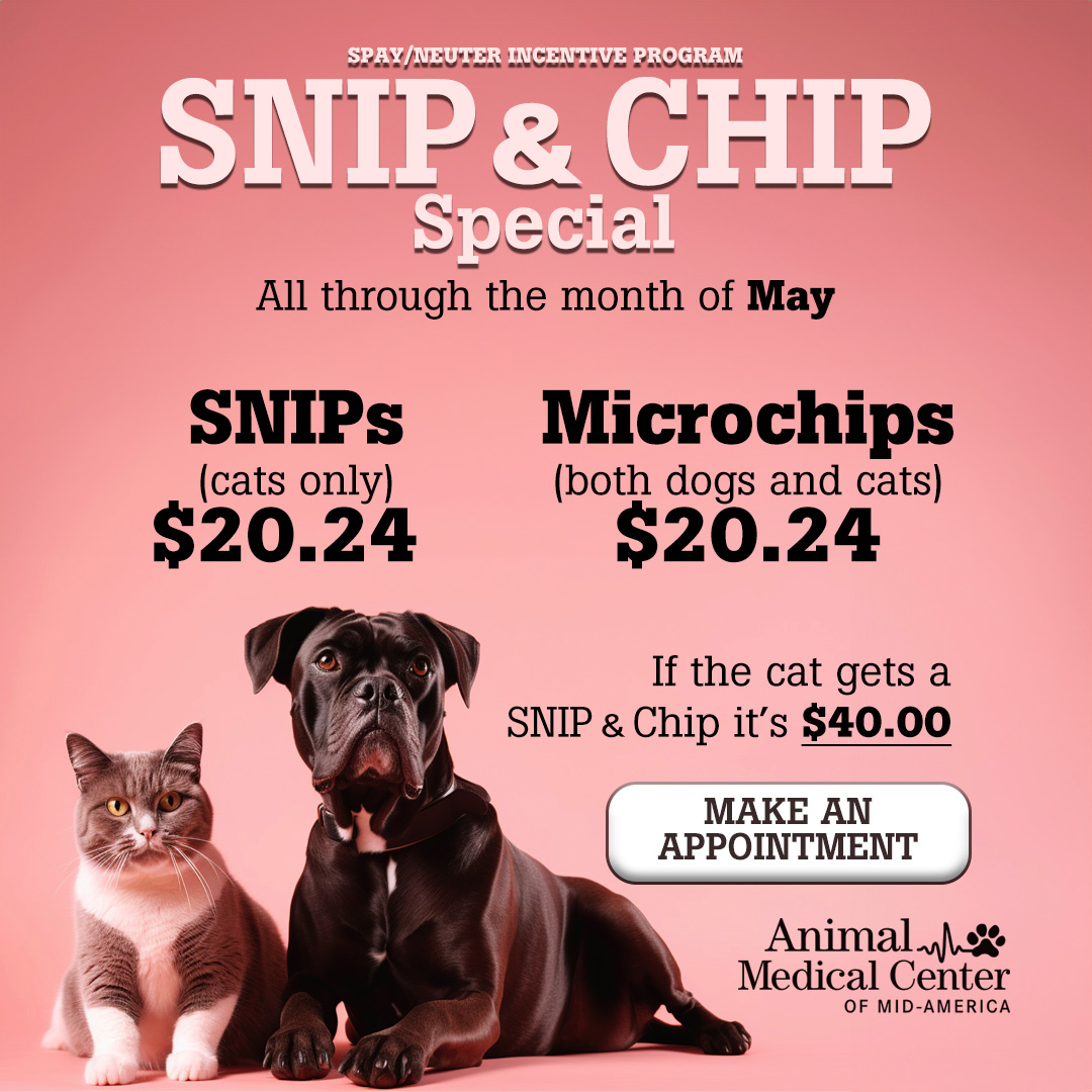 Snip & Chip Special | May 2024