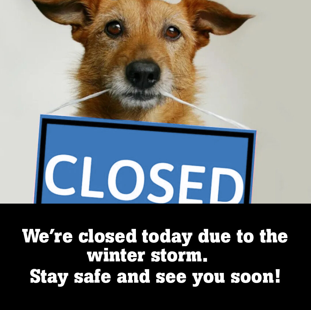 We're closed today due to the winter storm. Stay safe and see you soon!